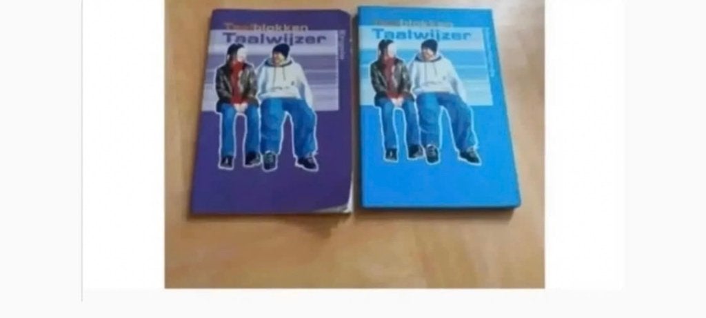 Boek schoolboek Taalblokken taalwijzer engels nederlands, Ophalen, Alpha
