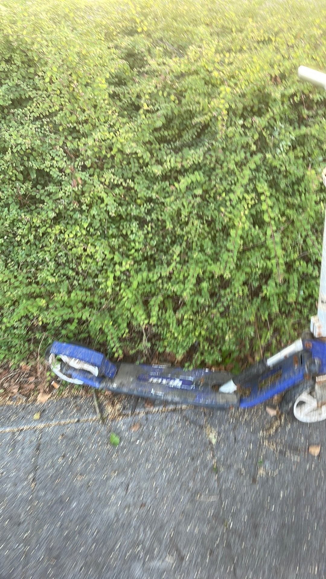 Gloed nieiwe step in de bosjes gevonden, Fietsen en Brommers, Ophalen, Zo goed als nieuw