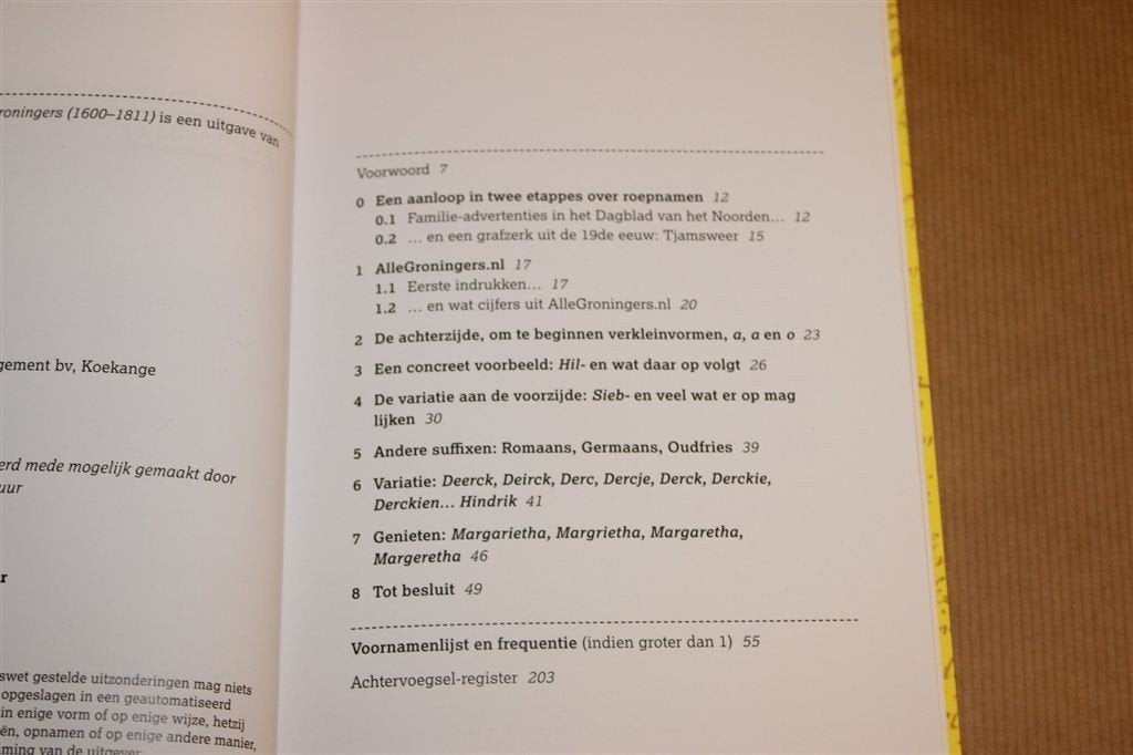 AlleGroningers Voornamen [1600-1811] — Nieuwstaat, Boeken, Ophalen of Verzenden, Zo goed als nieuw