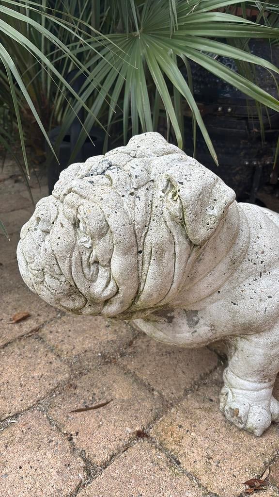 Tuinbeeld Engelse Bulldog wit, Ophalen, Gebruikt, Steen