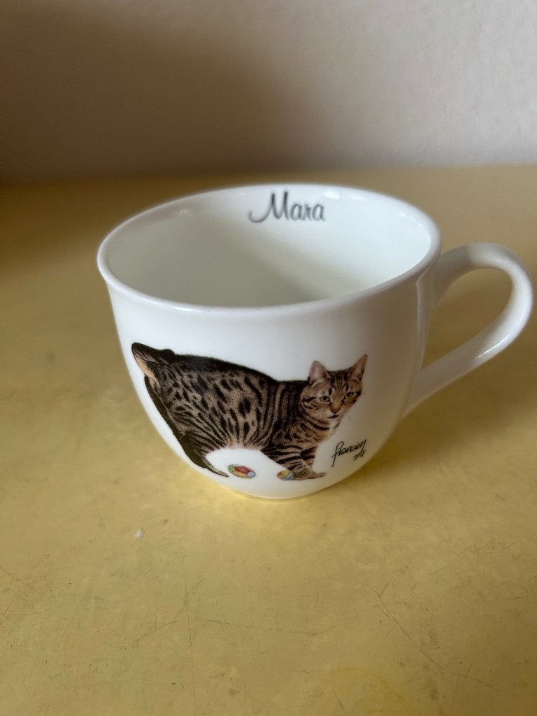 Francien van Westering kattenmok Mara - Franciens Katten, Zo goed als nieuw, Overige stijlen, Porselein, Mok