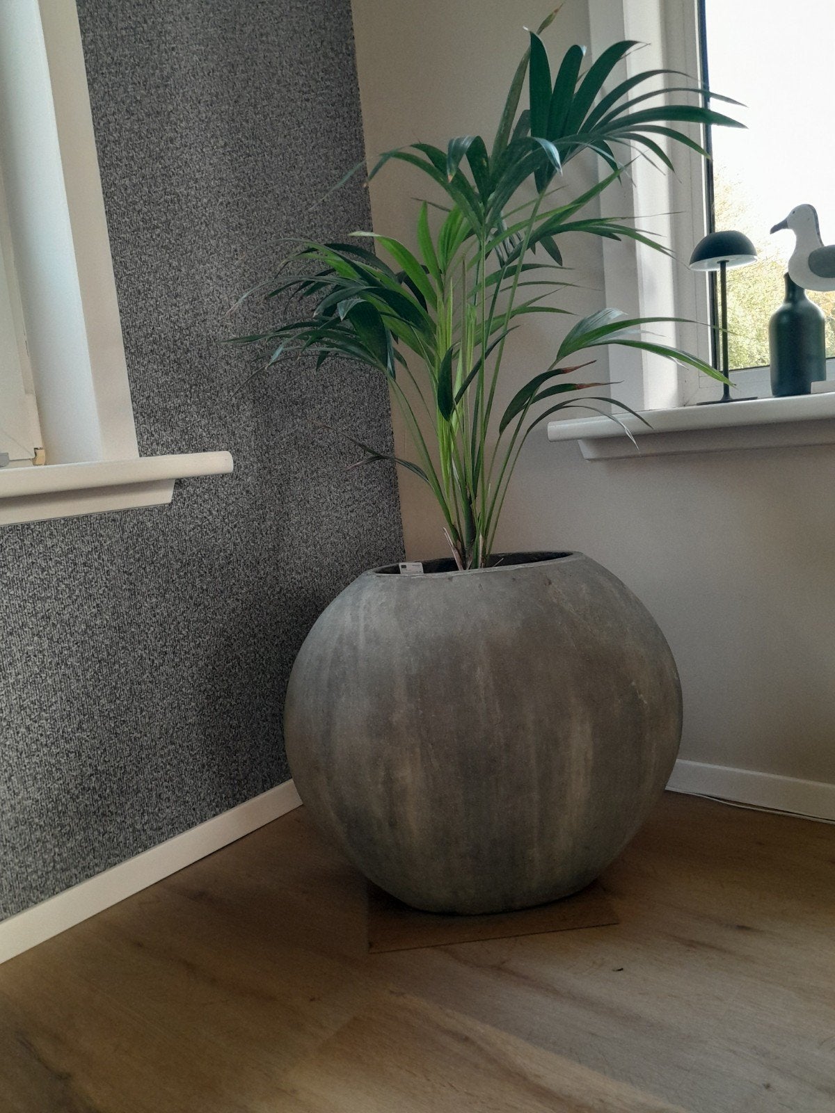 PTMD pot, ca 60x25x50 cm, nieuw, Ophalen, 40 cm of meer, Nieuw, Beton