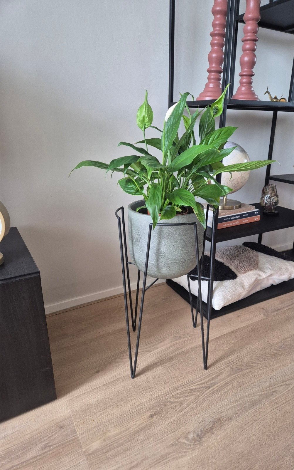 Plantenpothouder met pot, Ophalen, Zo goed als nieuw