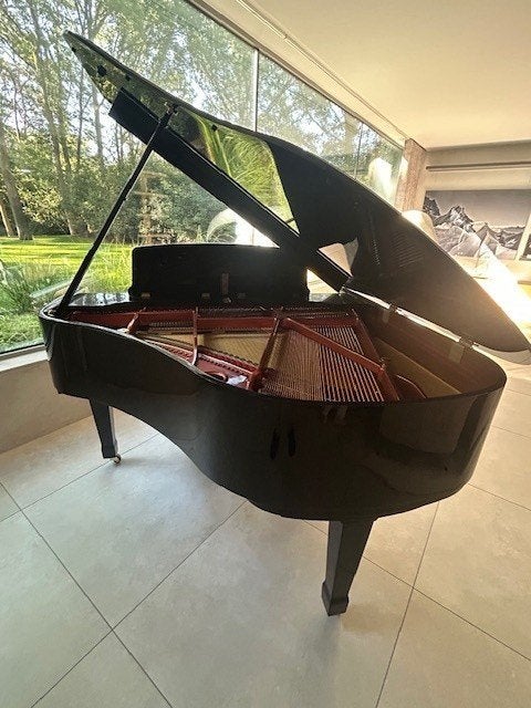 VLEUGEL PIANO, Muziek en Instrumenten, Ophalen, Zwart, Nieuw, Hoogglans