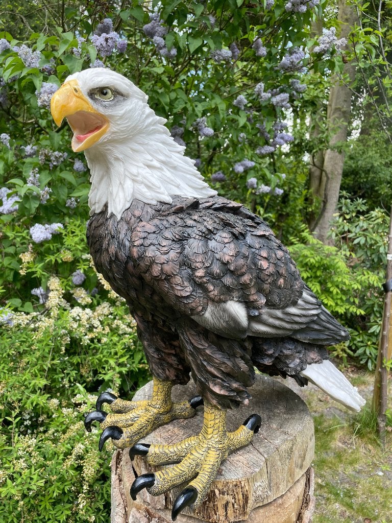 Beeld Arend groot, gazon, tuin, vijver, dierentuin 55cm, Tuin en Terras, Tuinbeelden, Ophalen, Nieuw, Kunststof, Dierenbeeld