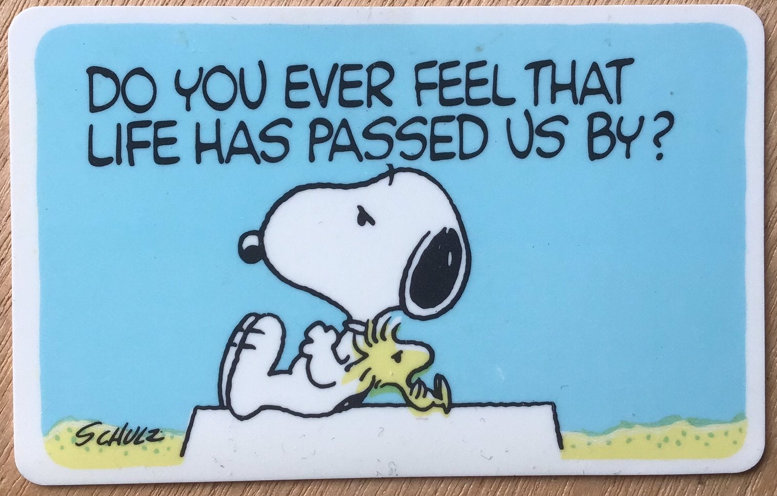 Snoopy & Woodstock kaartje - Do you ever feel …. - ZGAN, Ophalen of Verzenden, Snoopy, Zo goed als nieuw