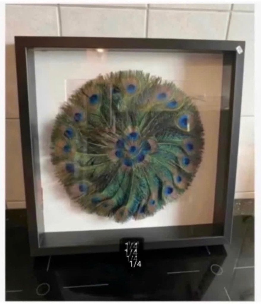 Sale Woondecoratie Verdiepte lijst met Pauwenveren, Ophalen of Verzenden, Nieuw, Overige soorten, Overige typen