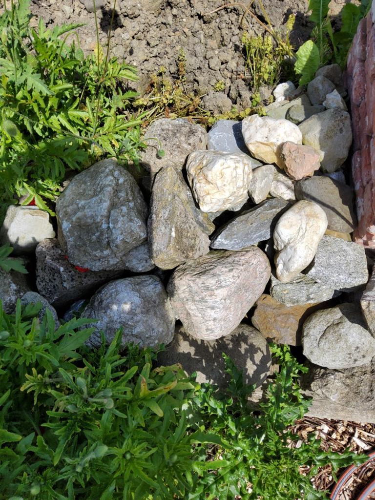 Rotstuin/vijver keien, Tuin en Terras, Grind, Keien en Split, Ophalen