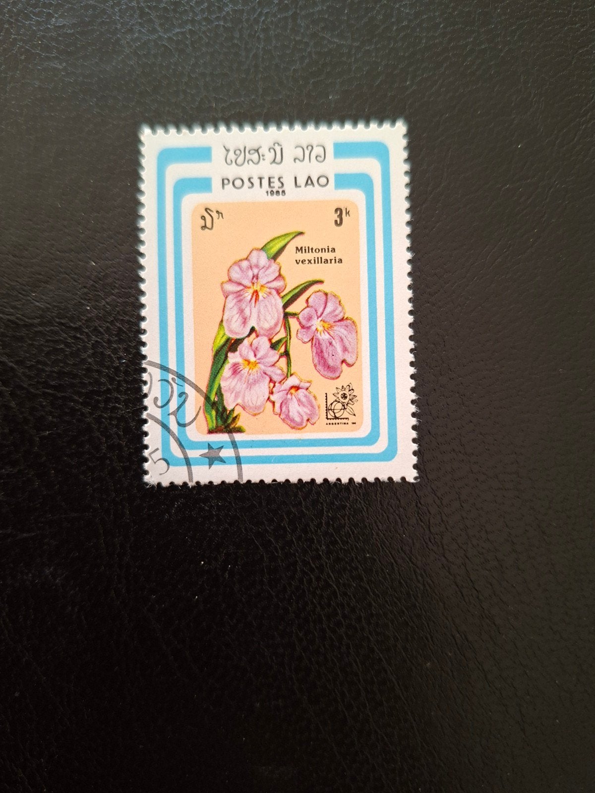 Bloemen.  Orchidee.  Laos, Ophalen of Verzenden