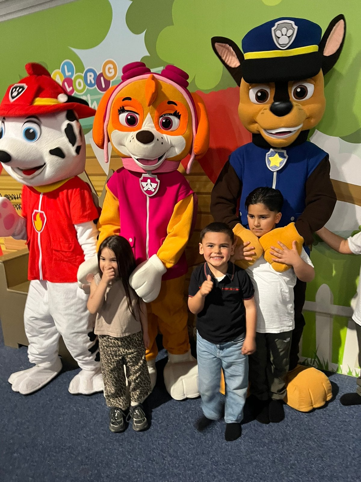 PAW PATROL MASCOTTE VERHUUR, Ophalen of Verzenden, Nieuw, Verjaardag