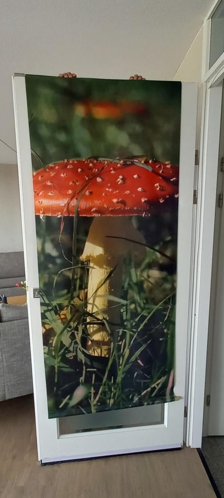 2 herfstbanners, Ophalen