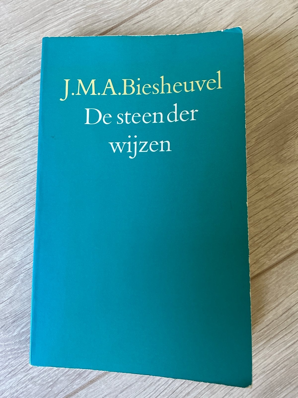 J.M.A. Biesheuvel - De steen der wijzen, Boeken, Ophalen of Verzenden, Gelezen, Nederland