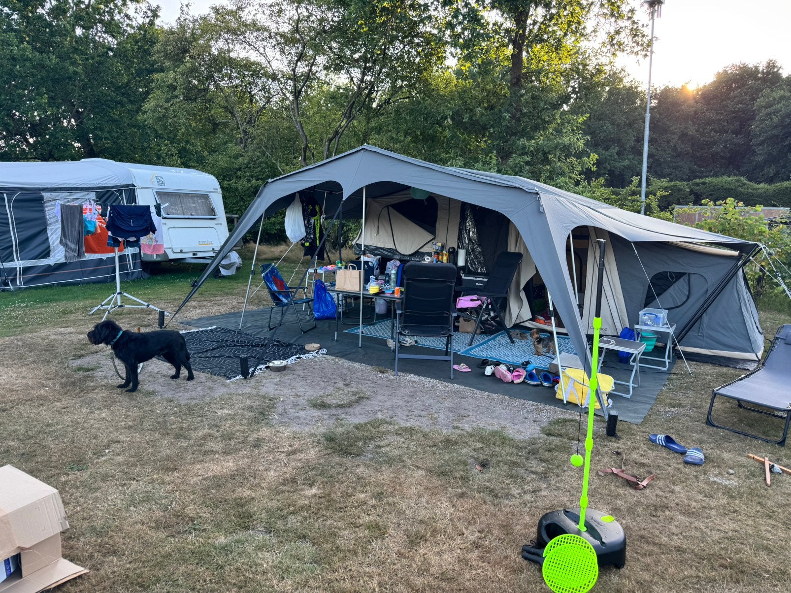 Campooz Lazy Jack vouwwagen 2024, Ophalen, Beige, Campooz, Tot en met 4
