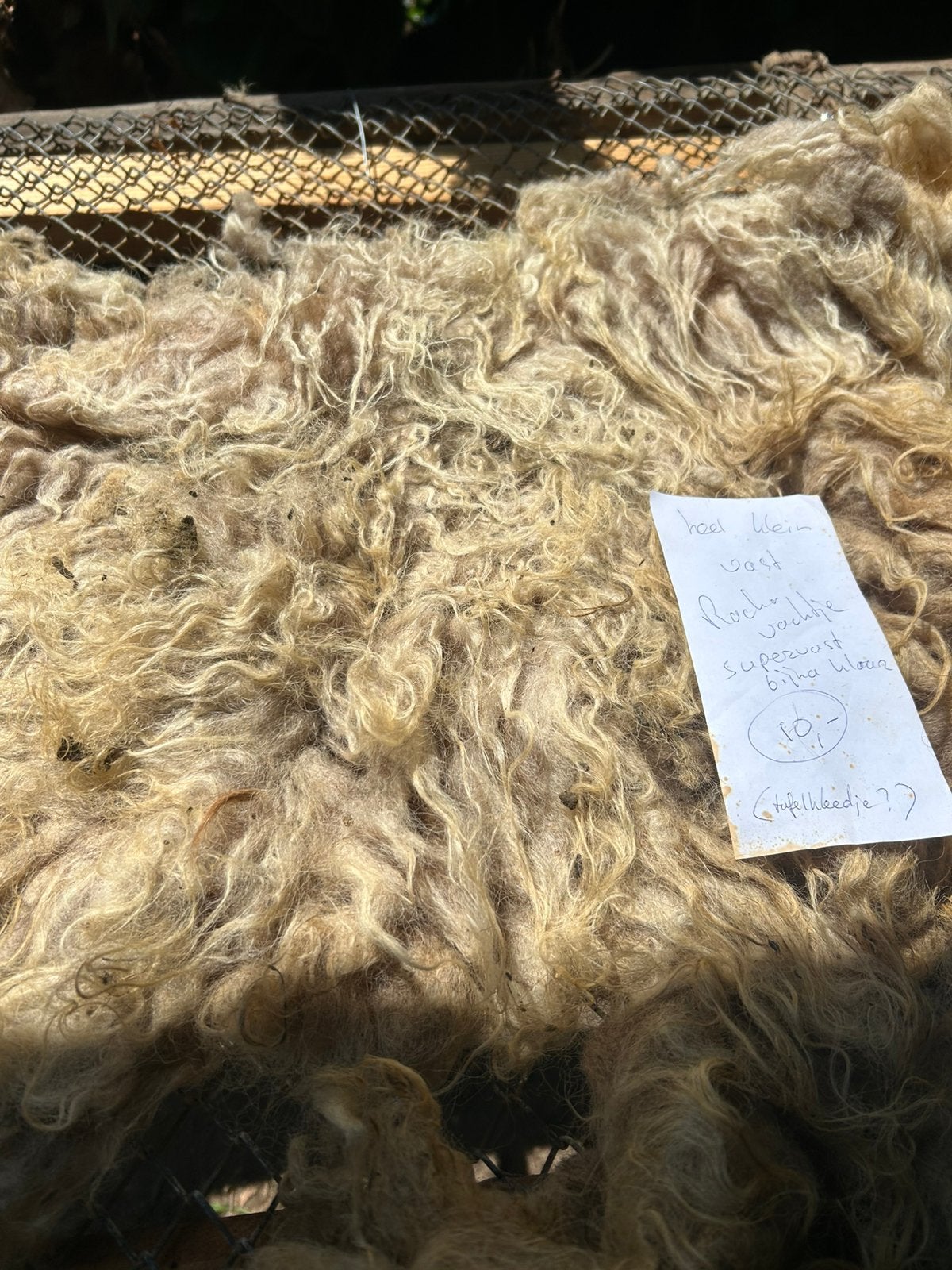Klein Racka vachtje om te vilten, Ophalen of Verzenden, Figuurtje(s)