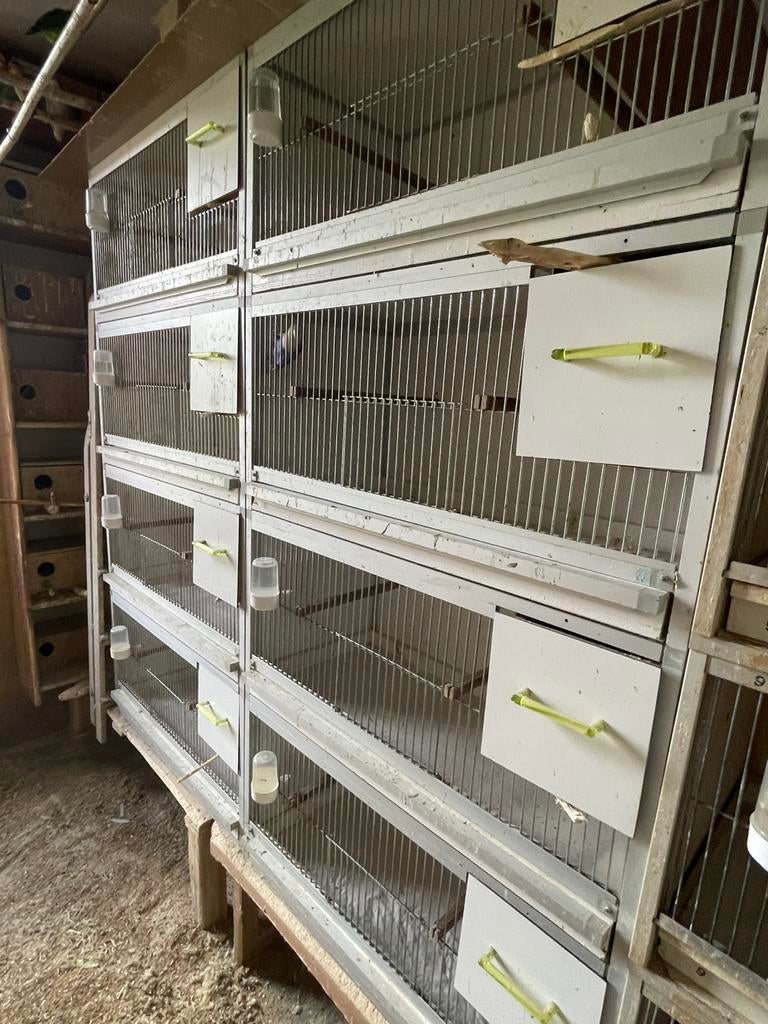 Complete Kweekkooi Broedkooien van Keulen Aluminium, Dieren en Toebehoren, Vogels | Hokken en Kooien, Ophalen, Zo goed als nieuw