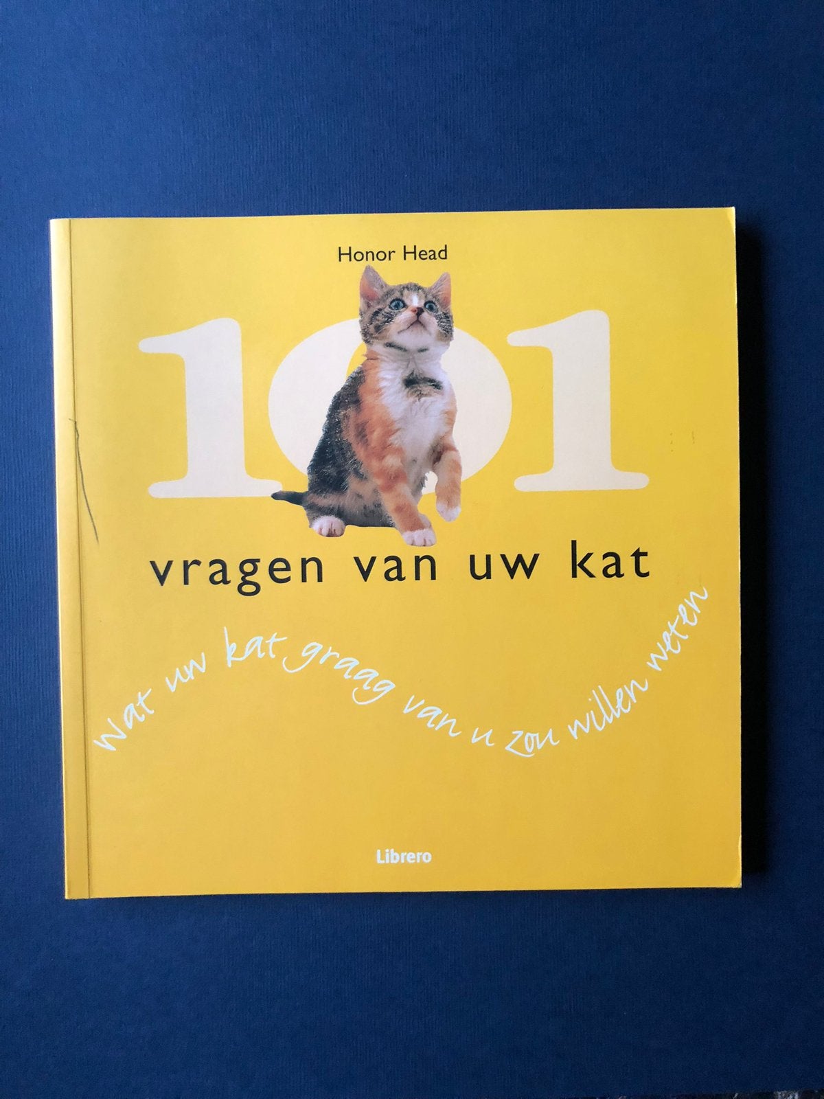 Boek 101 vragenvan uw kat, Honner Head. Zo goed als nieuw, Ophalen of Verzenden, Zo goed als nieuw, Katten