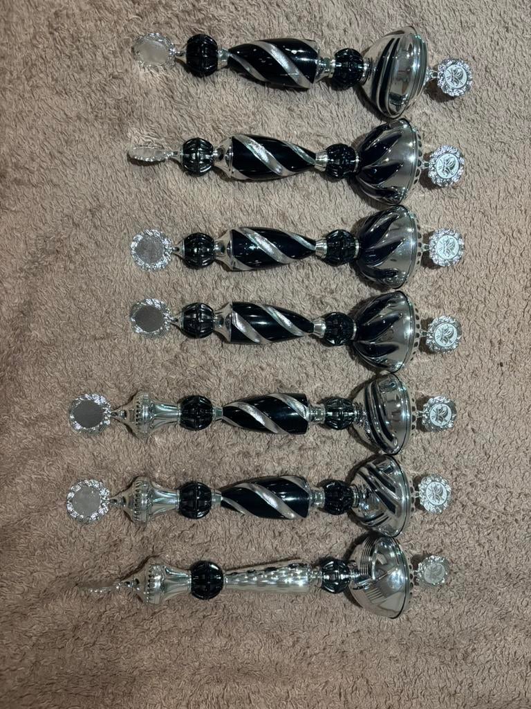 Scepter, Carnaval, Overige maten, Ophalen of Verzenden, Accessoires