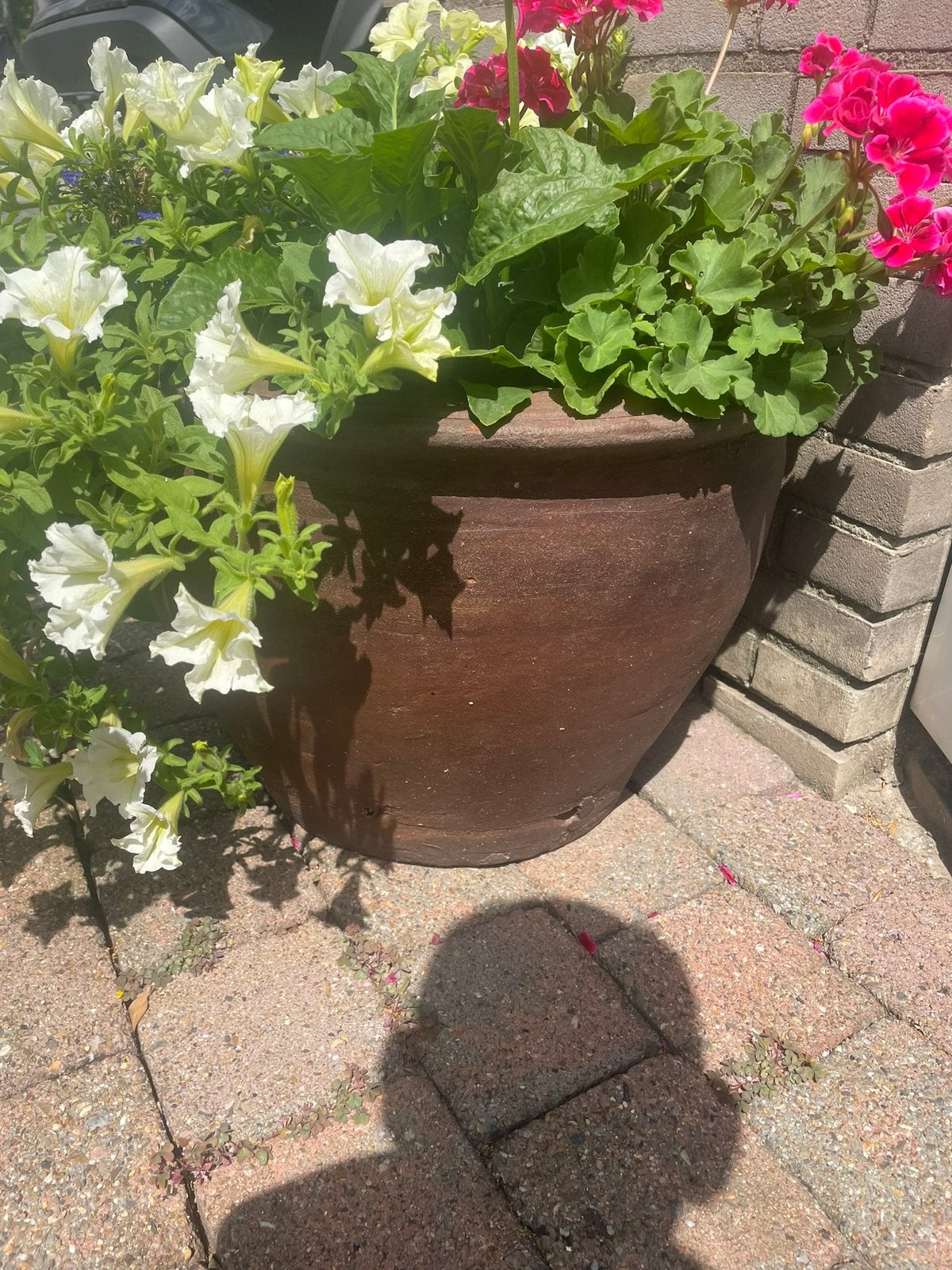 Grotere aardewerk olantenbak met …, Tuin en Terras, Ophalen, Steen, Gebruikt, Rond