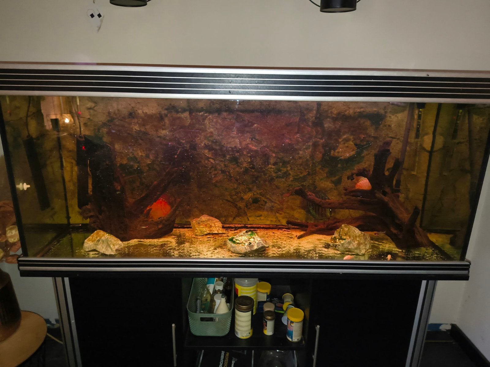 aquarium, Ophalen, Zo goed als nieuw, Gevuld zoetwateraquarium