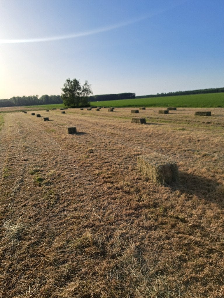 hooibalen, Dieren en Toebehoren, Ophalen, Vee