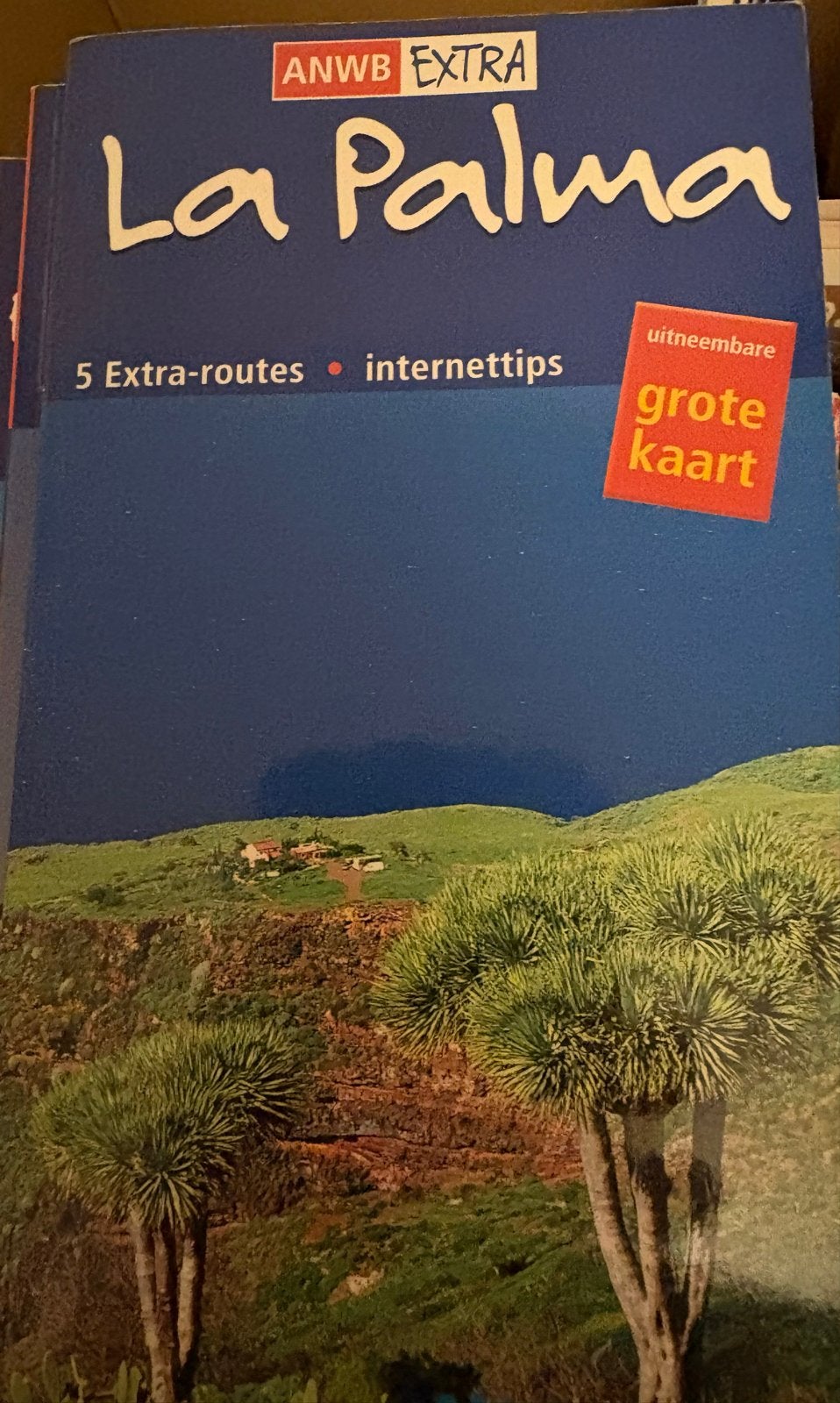 Diverse reisgidsen en kaarten (ANWB, Michelin, IGN), Gelezen, Europa, Ophalen of Verzenden, Reisgids of -boek