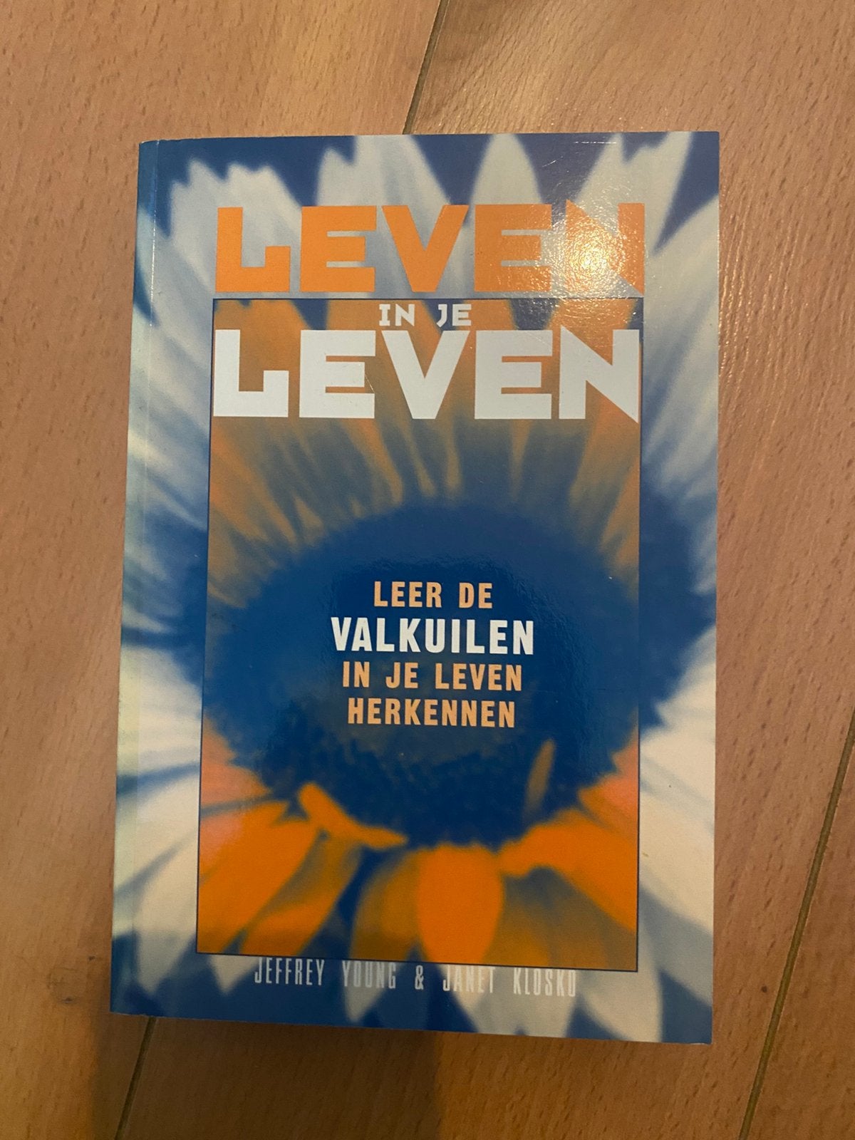 Leven in je Leven: Leer de valkuilen herkennen, Boeken, Ophalen of Verzenden, Zo goed als nieuw, Overige onderwerpen