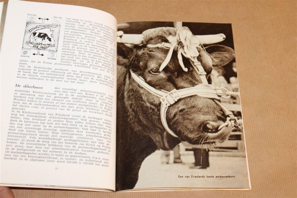 Van Alles over Friesland — Provinciaal Bestuur Vintage 1955, Boeken, Ophalen of Verzenden, Gelezen