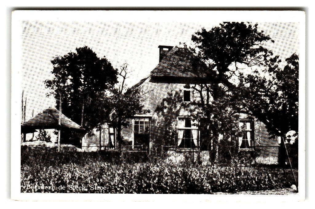 Stroe, Boerderij de Steeg, Verzamelen, Ansichtkaarten | Nederland, Ophalen of Verzenden, 1960 tot 1980, Gelopen, Gelderland