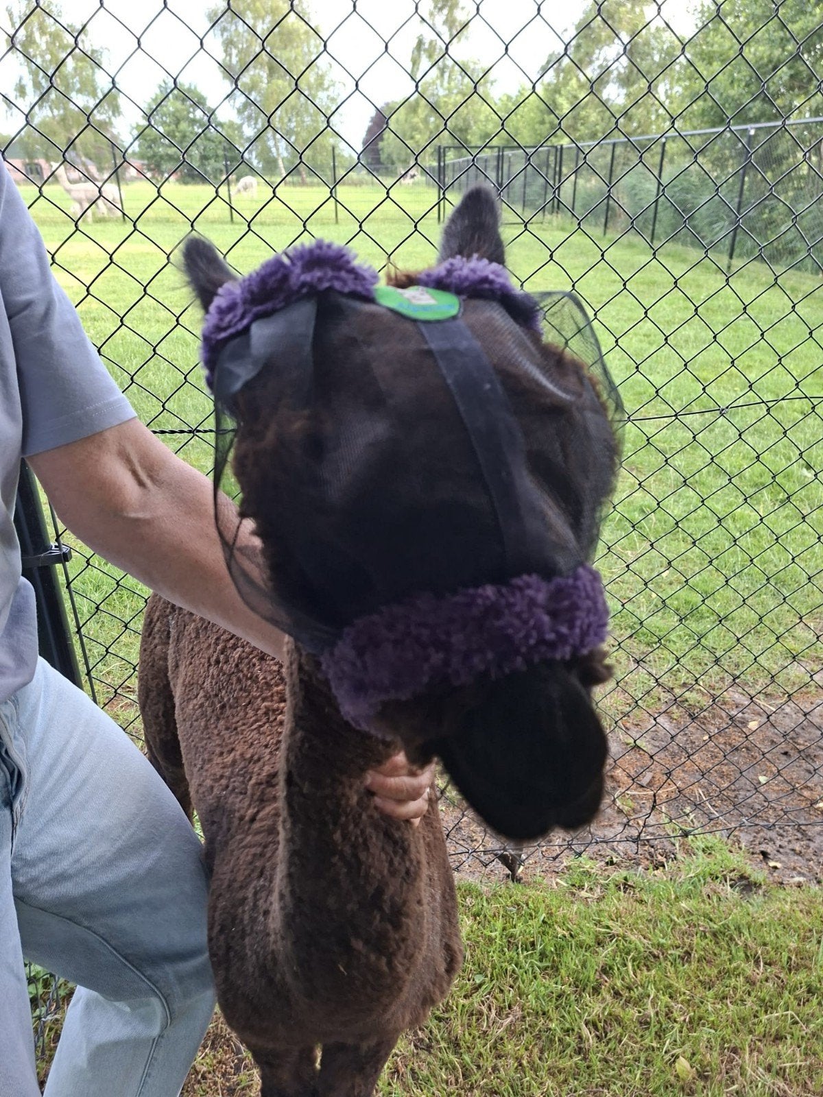 alpacavlliegen maskers.verschillende maten, Ophalen of Verzenden, Nieuw, Insectenbescherming