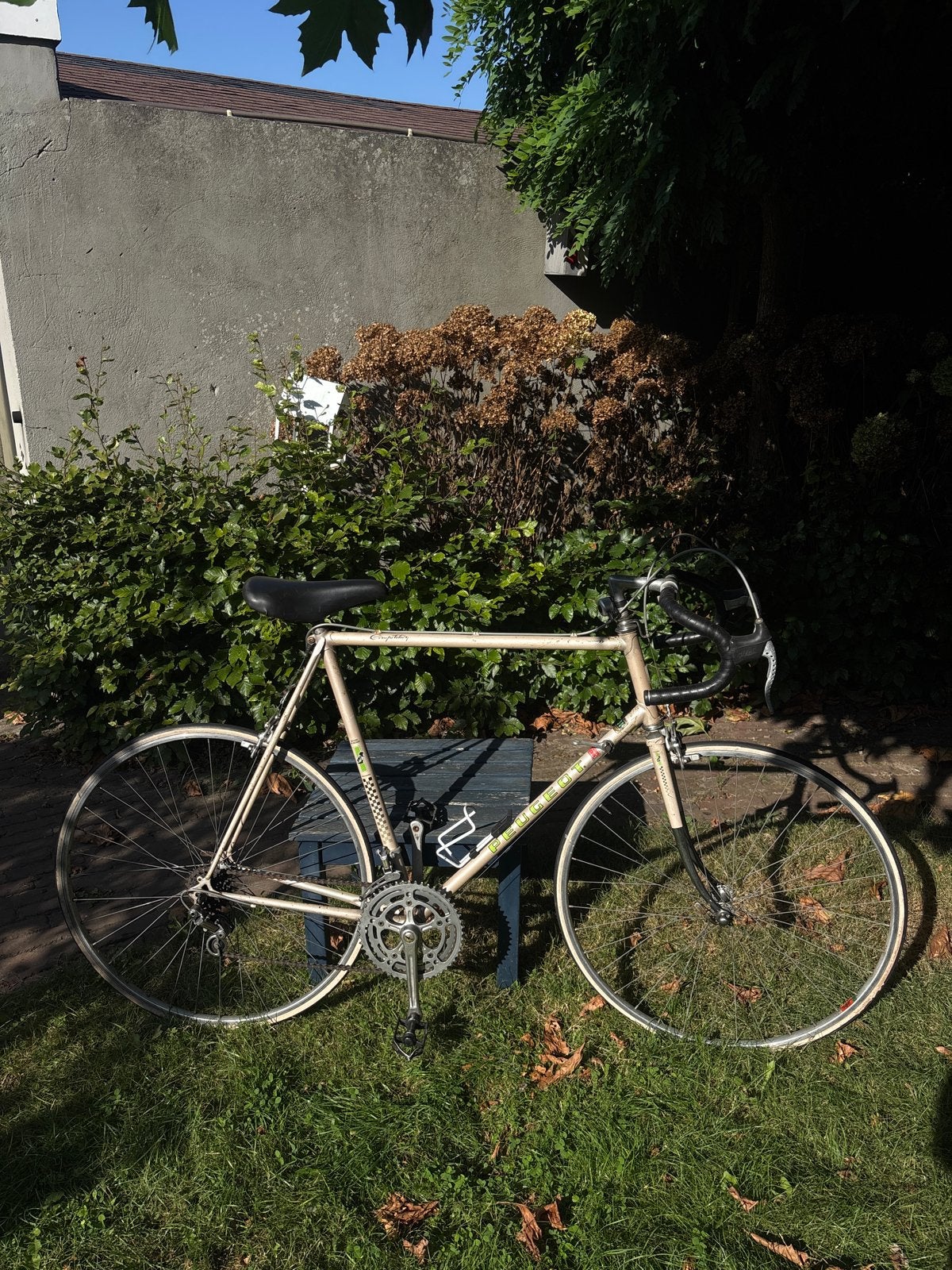 Peugeot Competition retro racefiets - 2x6 versnellingen, Gebruikt, Staal, Ophalen, Overige merken