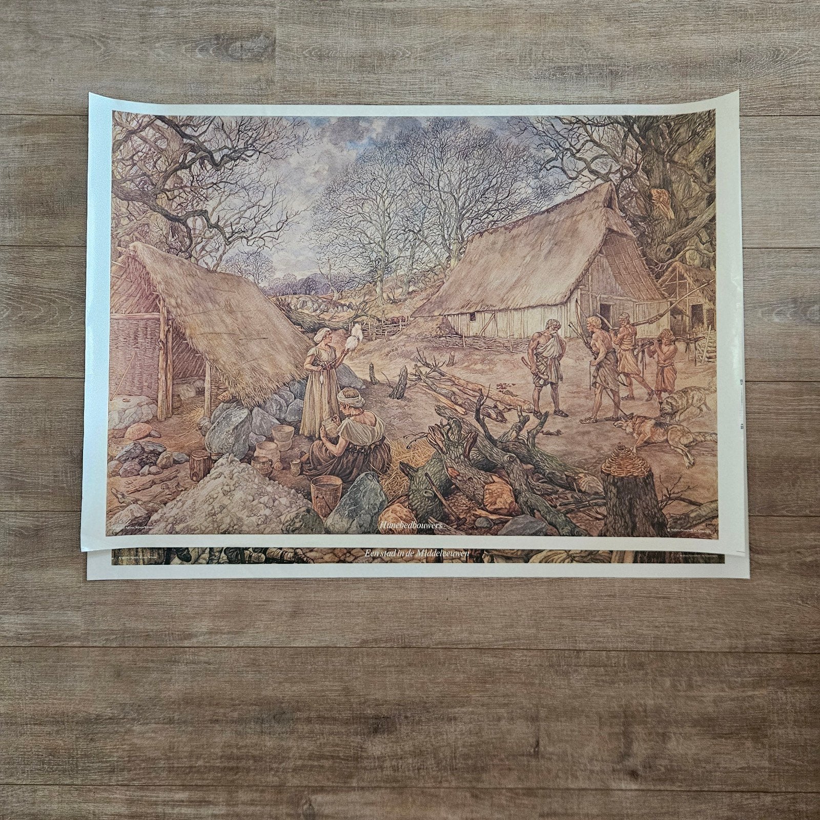 2 Wolters-Noordhoff Posters, Gebruikt, Deurposter of groter, Rechthoekig Liggend, Ophalen of Verzenden
