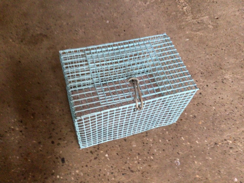 Kooi, Ophalen, Zo goed als nieuw, Metaal, Vogelkooi