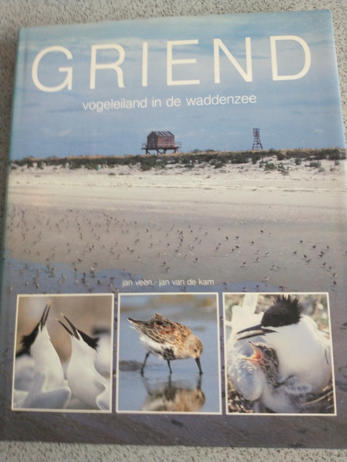 Griend, vogeleiland in de Waddenzee, Boeken, Ophalen of Verzenden, Zo goed als nieuw, Vogels, Jan van de Kam