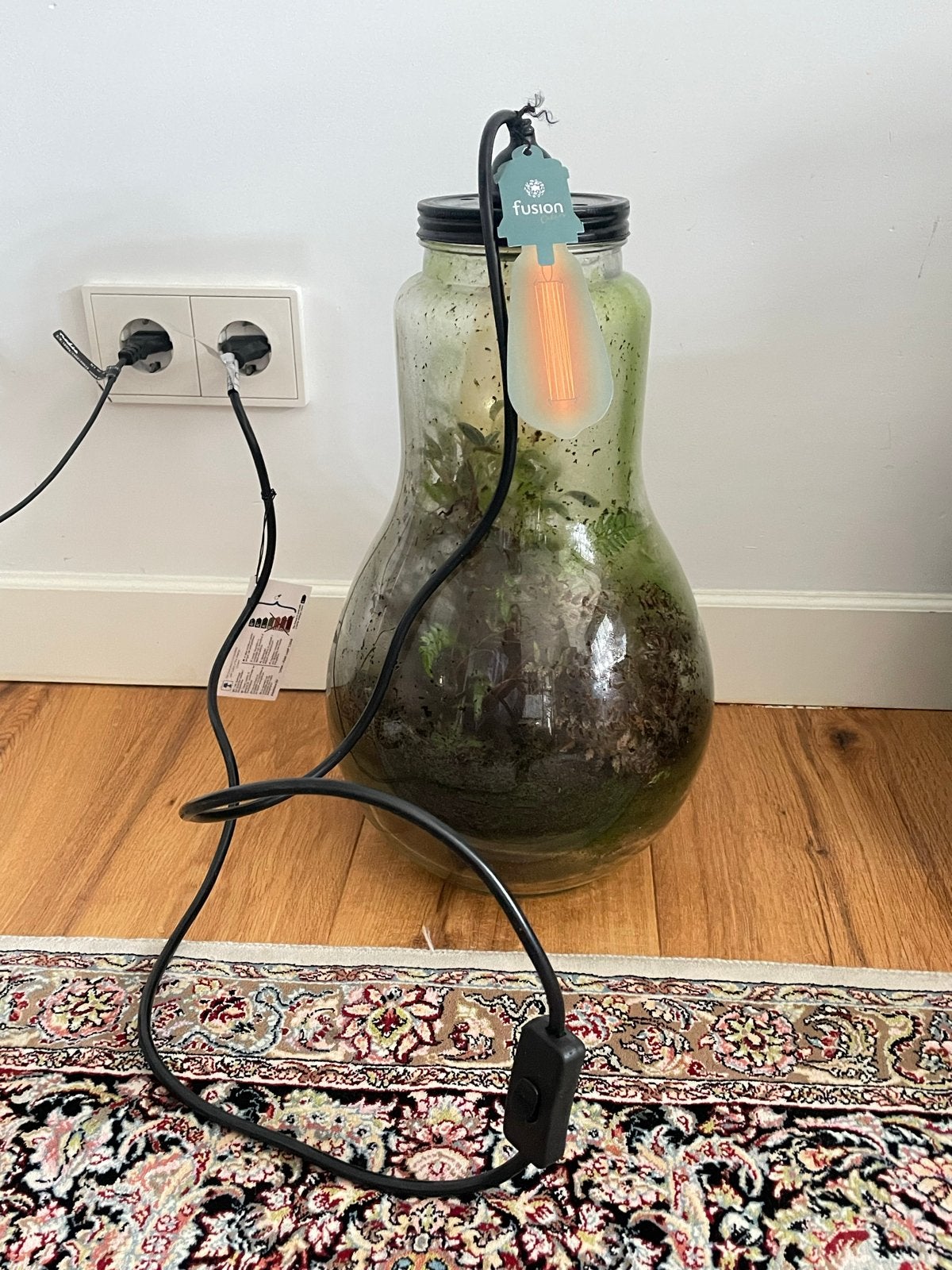 Terrarium met verlichting - Planten in glazen pot, Ophalen, Gebruikt, 100 tot 150 cm, E27 (groot)