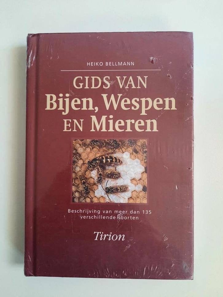 Gids van Bijen , Wespen en Mieren . Heiko Bellmann NIEUW !, Ophalen of Verzenden, Nieuw, Overige onderwerpen, Heiko Bellmann