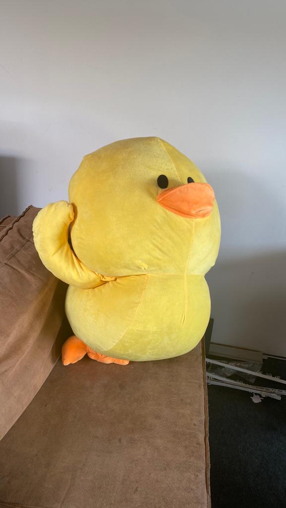 Grote ducky knuffel.   Lees beschrijving, Ophalen, Overige typen
