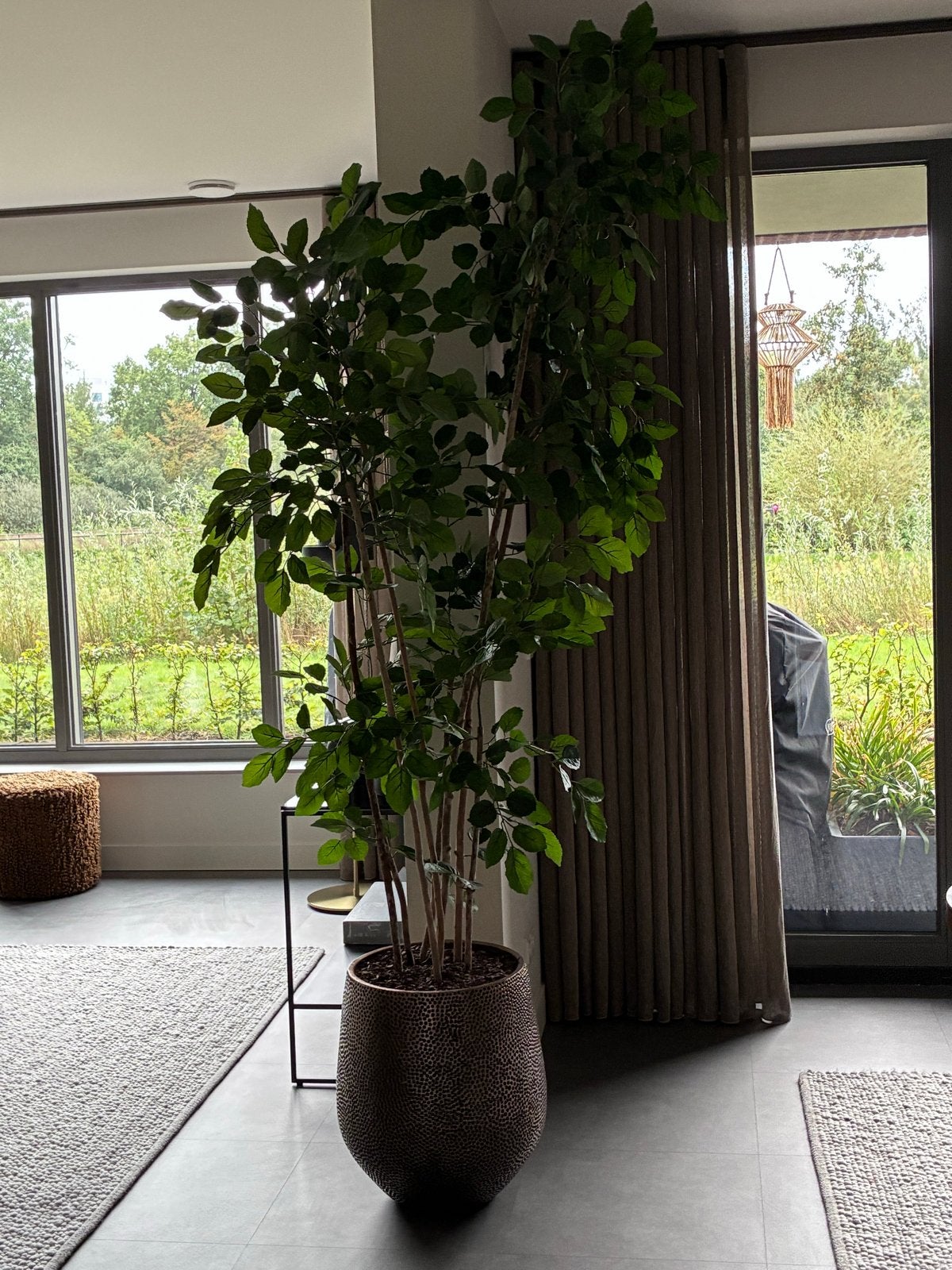 Prachtige realistische Ficus kunstboom - 250cm, Ophalen, Binnen, Groen, Kunstplant