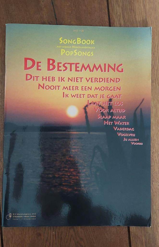 Songbook: De Bestemming - Nieuwe Nederlandstalige Popsongs, Muziek en Instrumenten, Bladmuziek, Ophalen of Verzenden