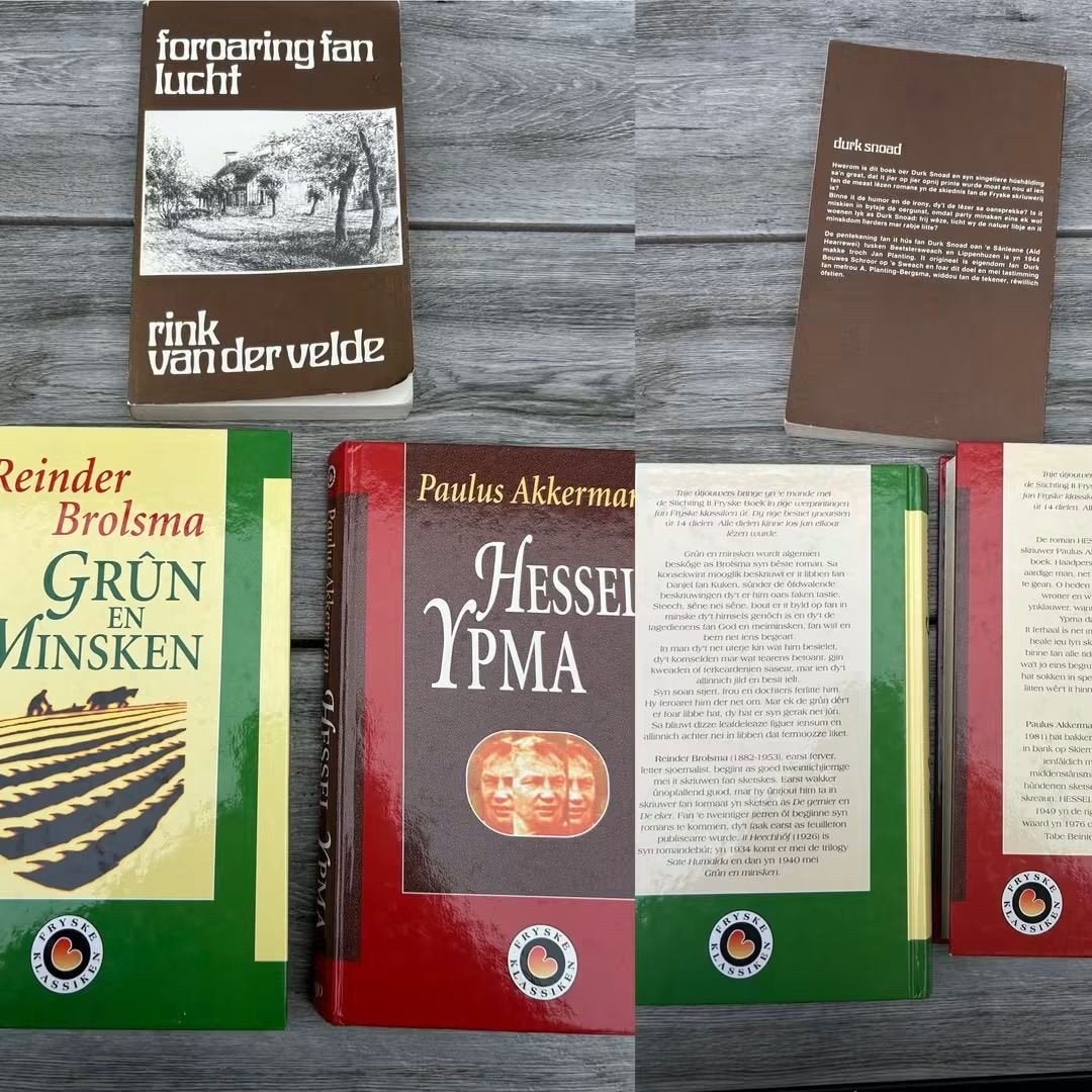 Set van 3 Fryske boeken (o.a. Rink van der Velde & Fryske Kl, Boeken, Verzenden, Gelezen