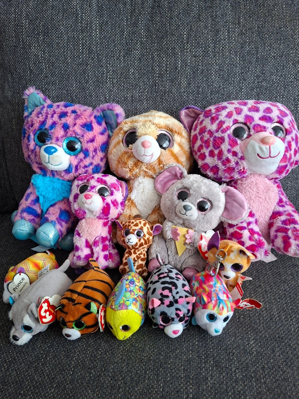Grote collectie Ty Beanie Boo's knuffels - diverse maten, Gebruikt, Overige karakters, Overige typen, Ophalen of Verzenden