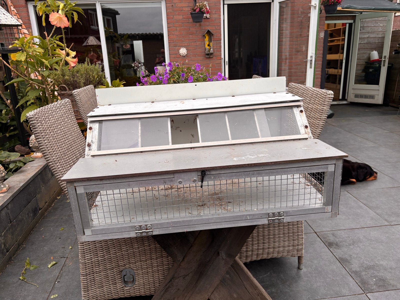 Spoetnik voor duiven, Ophalen, Gebruikt, Aluminium, Overige typen