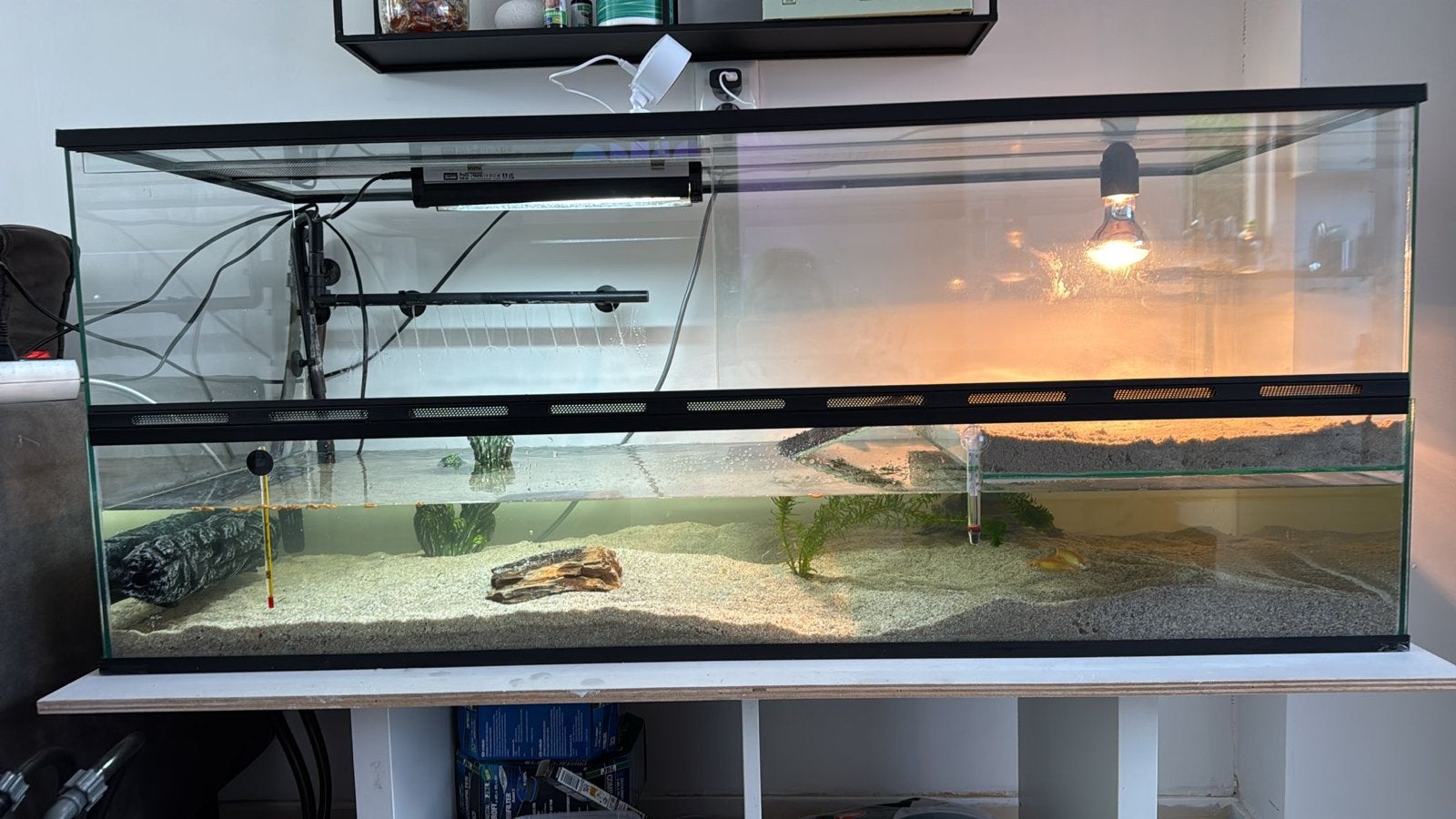 Schilpad met aqarium, Schildpad, Met terrarium, 0 tot 2 jaar