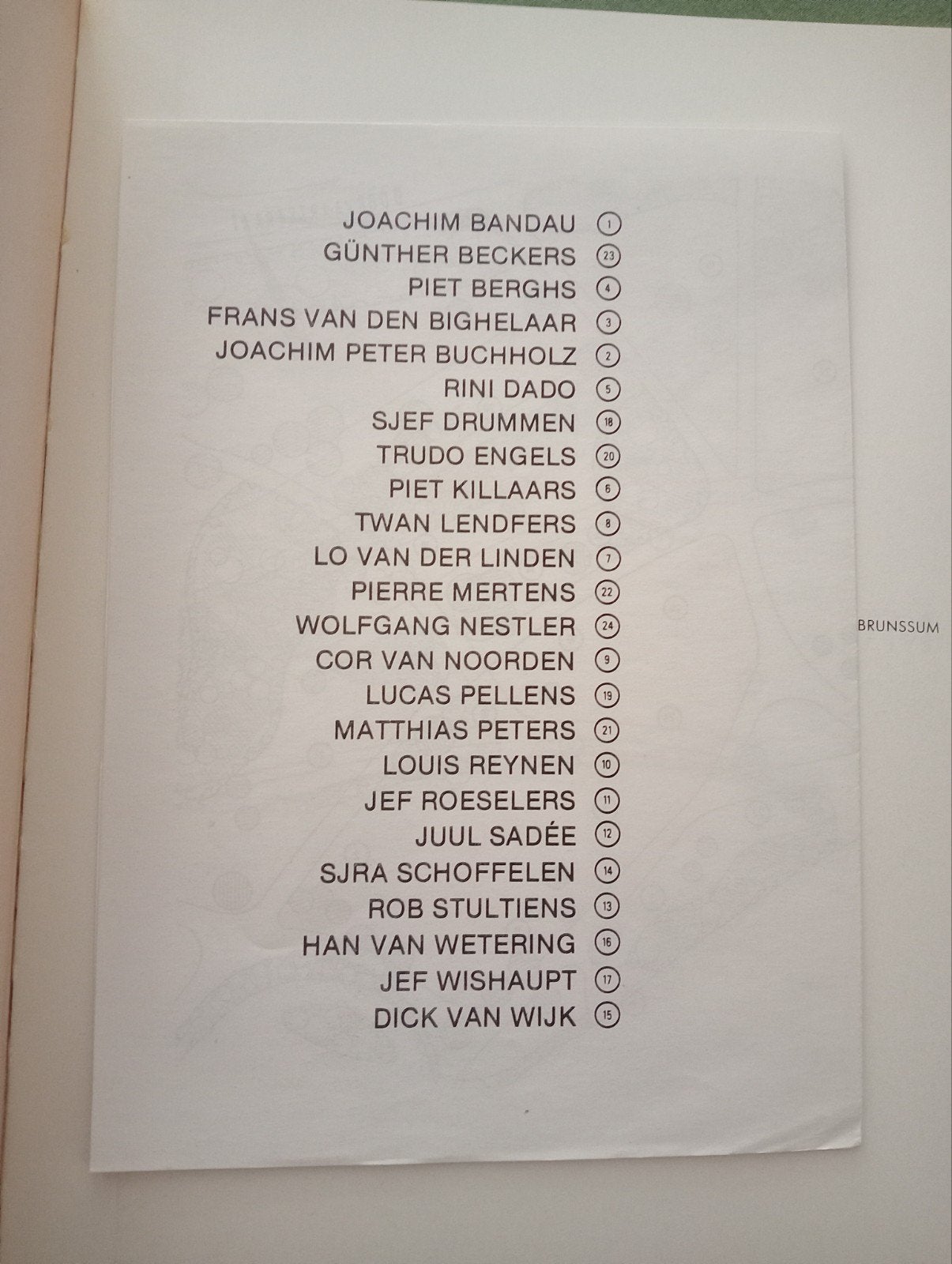 Beelden in Brunssum - Kunstboek over sculpturen, Ophalen of Verzenden, Zo goed als nieuw