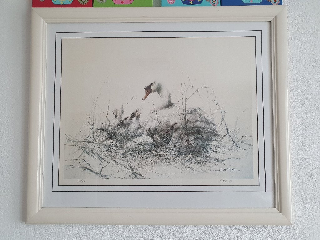 Hele mooie zeefdruk 530/590 zwanen A. Buikema, Ophalen of Verzenden