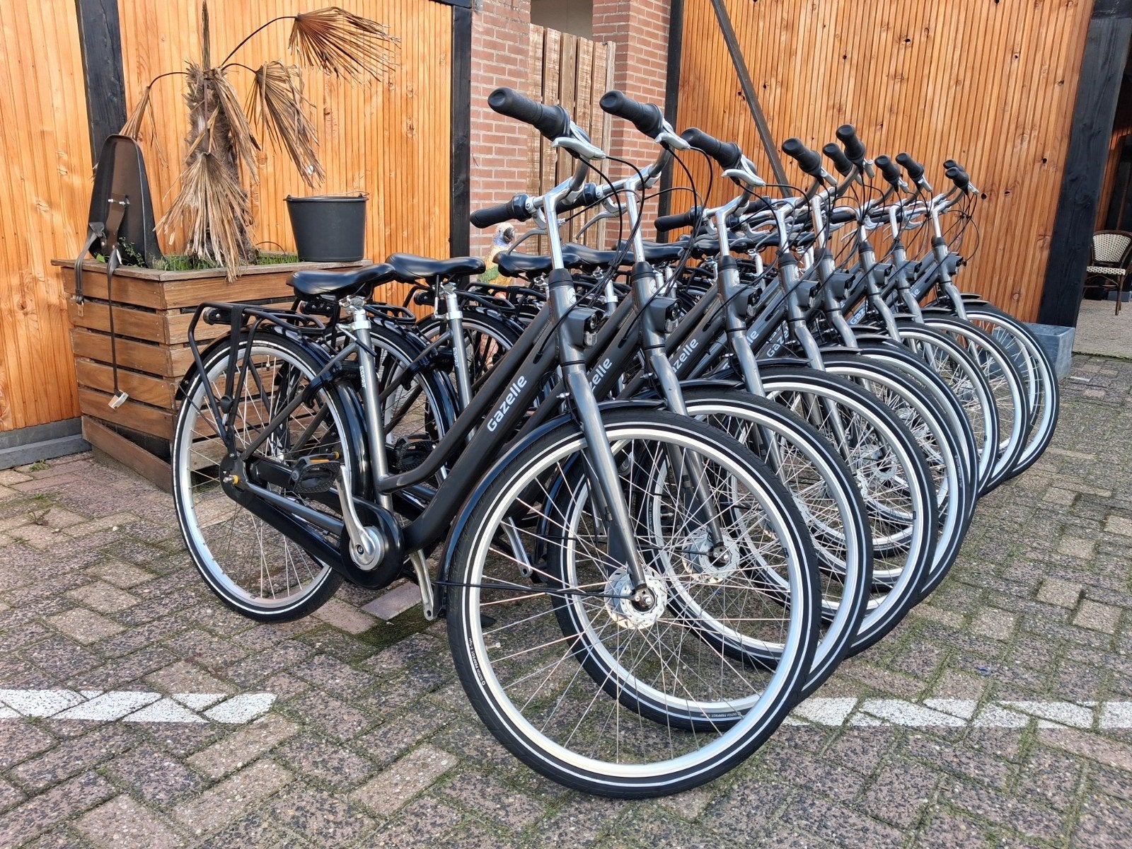 gazelle esprit dames huurfietsen 10 stuks Rij klaar, Fietsen en Brommers, Ophalen, Gebruikt, Versnellingen, 50 tot 53 cm