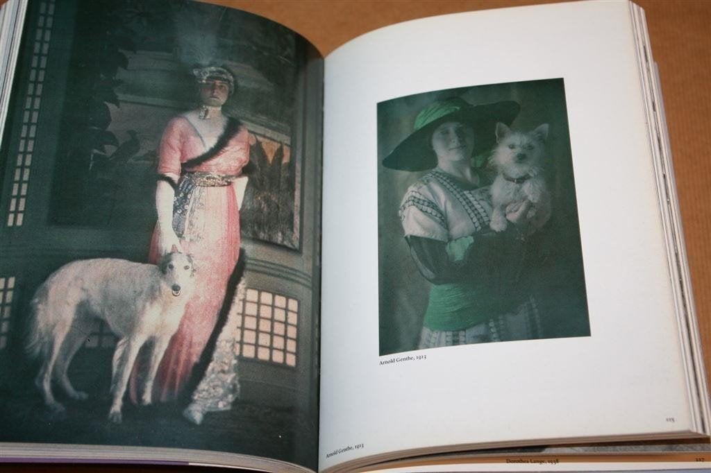 1000 Dogs — Dik Fotoboek, Taschen 2008, Ophalen of Verzenden, Gelezen, Katten
