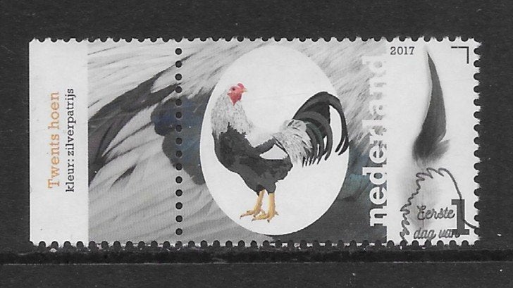 2017, Kippenrassen, Twents Hoen [3488] (K2206), Ophalen of Verzenden