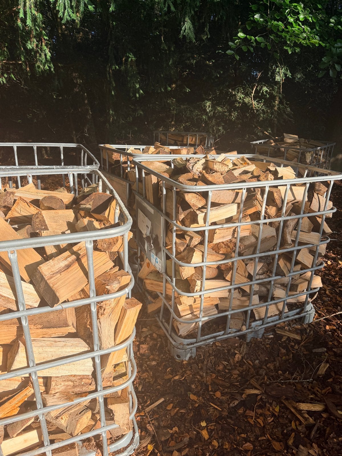 haardhouthout  vers gekloofd mix, 6 m³ of meer, Ophalen, Overige houtsoorten, Blokken