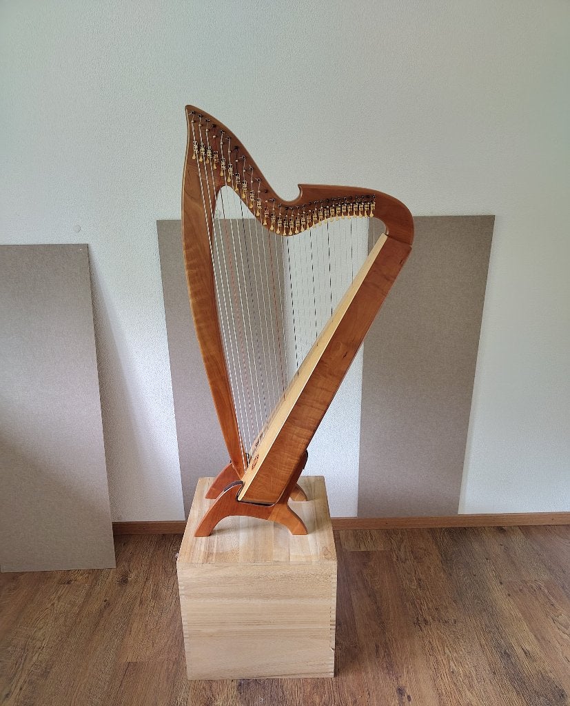 Blevins Eden 29 harp, Muziek en Instrumenten, Ophalen, Zo goed als nieuw