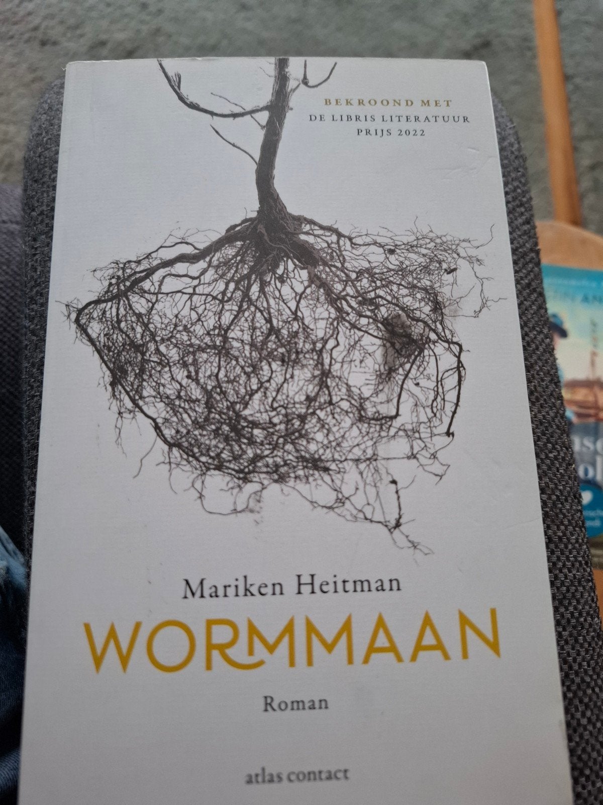 Mariken Heitman - Wormmaan, Boeken, Literatuur, Ophalen of Verzenden, Zo goed als nieuw, Mariken Heitman